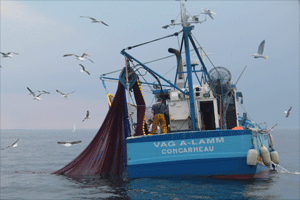 cotier chalut Concarneau